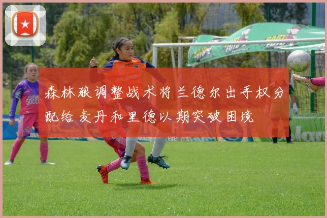 森林狼调整战术将兰德尔出手权分配给麦丹和里德以期突破困境
